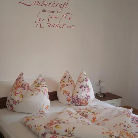 公寓 Ferienwohnung Goldmann 金兹灵