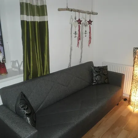 公寓 Ferienwohnung Goldmann 金兹灵