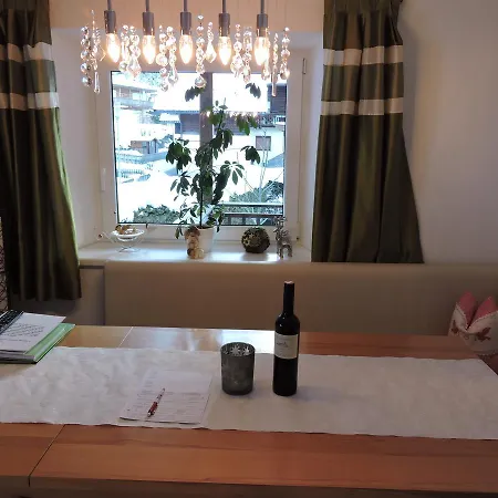 公寓 Ferienwohnung Goldmann 金兹灵